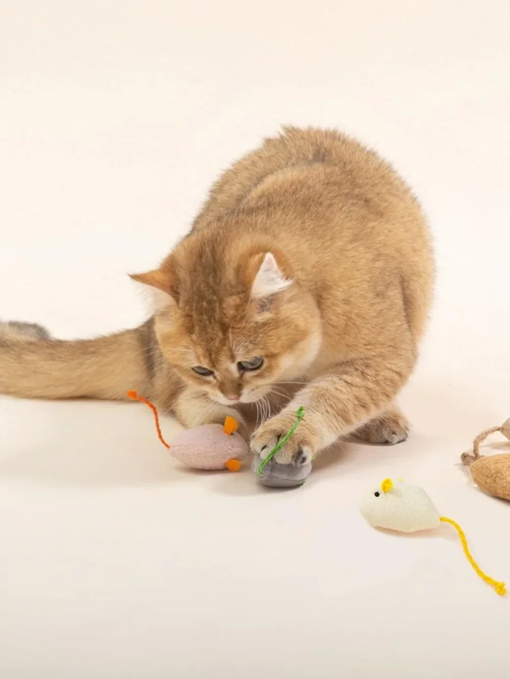 Shudyear cat Toys 5pcs Mouse Toys, Interactive Catnip Animal Toys for Indoor Kit